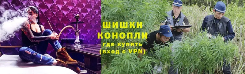 Бошки марихуана Ganja  гидра ССЫЛКА  Сорск 